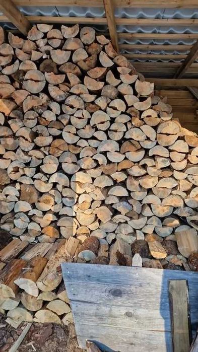 drewno opałowe sosna