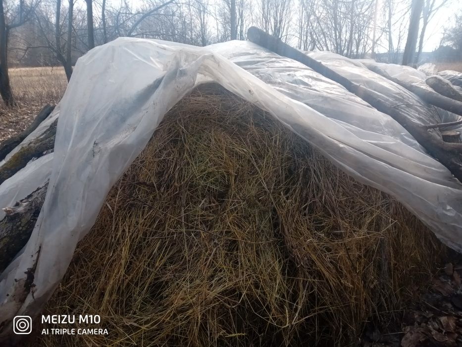 Продам Сено луговое летнего покоса 2024 года. года