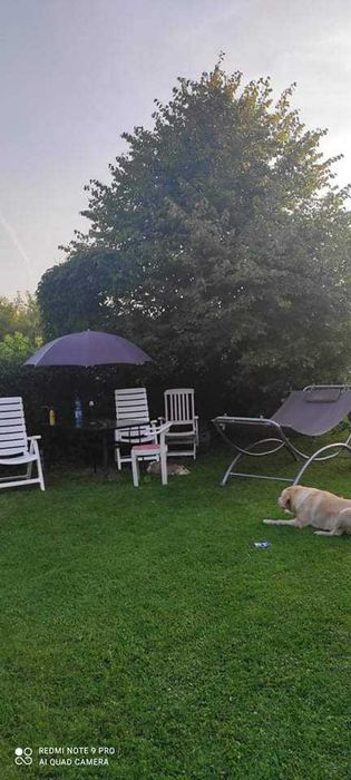 Domek holender Mazury Orzysz nad jeziorem