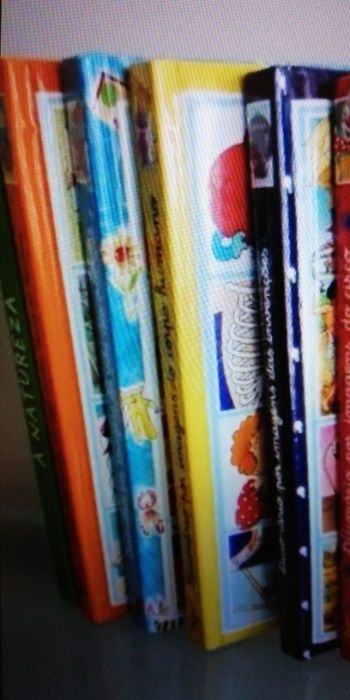 1 livro da Coleção "dicionário por imagens - CIRCO " livros