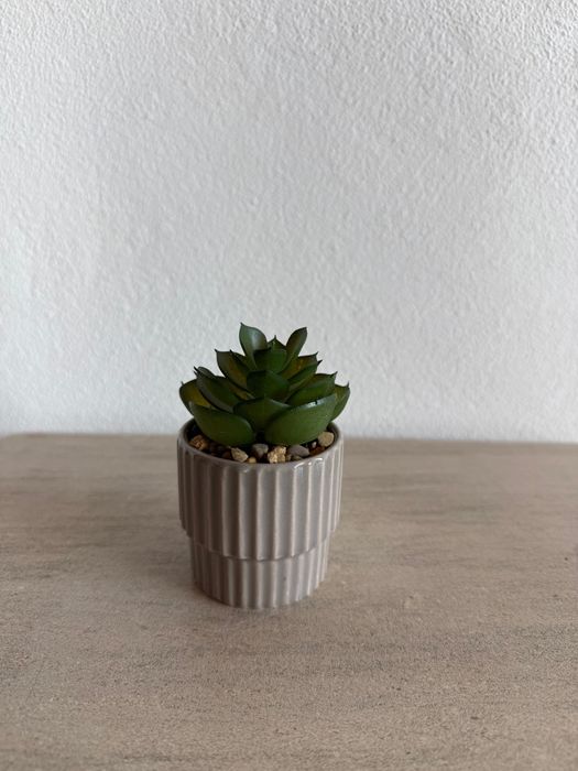 Suculenta artificial em vaso