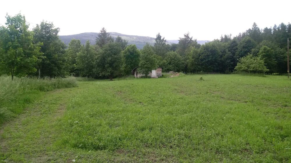 Siedliskowa z możliwością agroturystyki, 5 km od Karpacza
