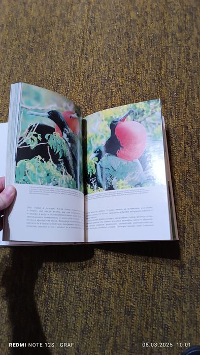 Продам книгу Ж И.Кусто СЮРПРИЗЫ МОРЯ !!!