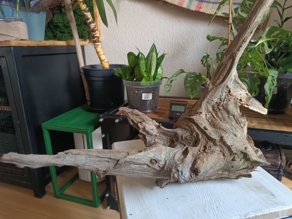 Korzeń do akwarium lub terrarium