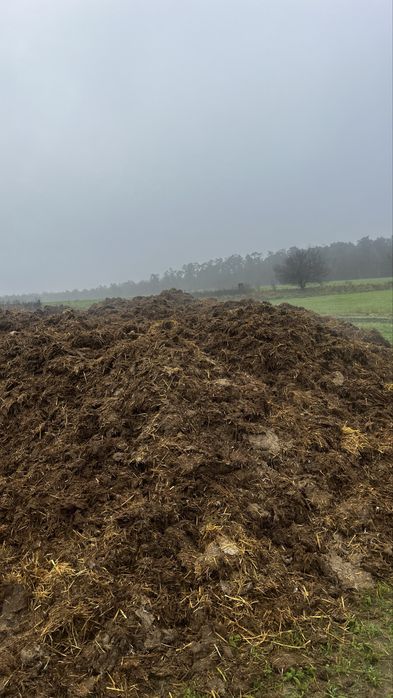 Obornik bydlecy, kurzy 60zł tona.