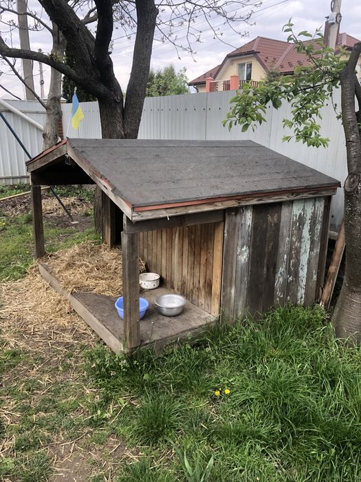 Собачья будка,вольер,для собаки