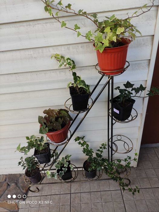 подставка для 9 и 10 цветов металлическая парус