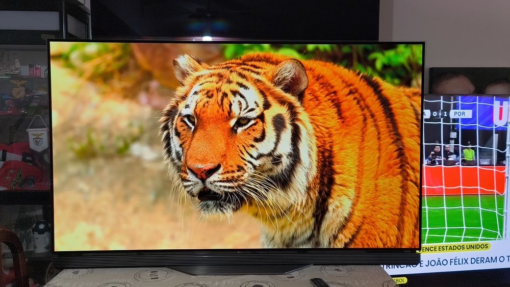 Smart TV LG OLED65E6V 4K ULTRA HD Impecável