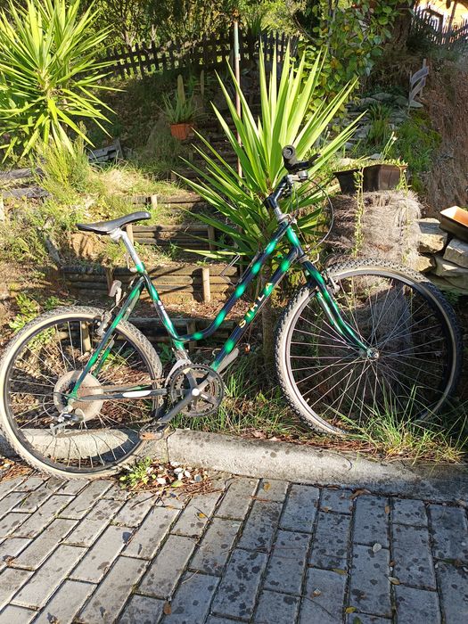 Várias bicicletas432571498795509762