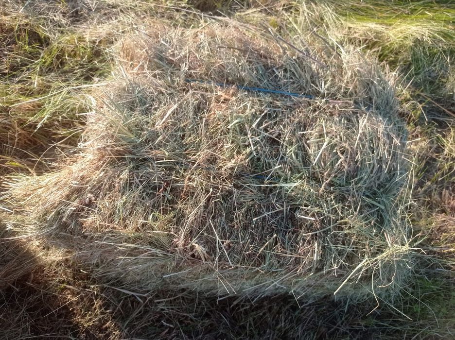 Продам  сіно в тюках