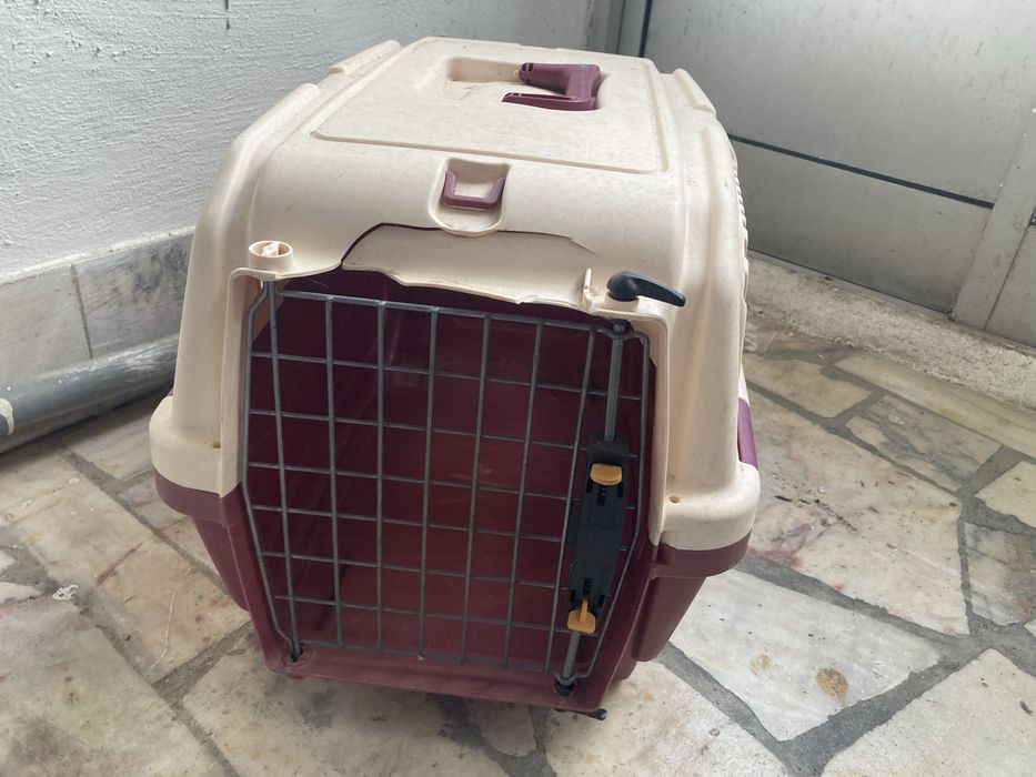 Caixa transporte gato