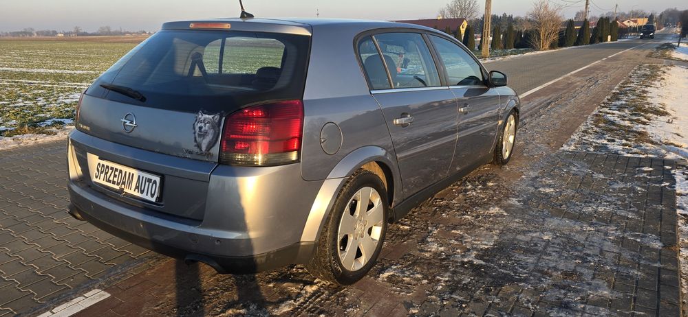 Opel Signum 3.0 CDTI V6 2004r, navi, pół skory 6 biegów