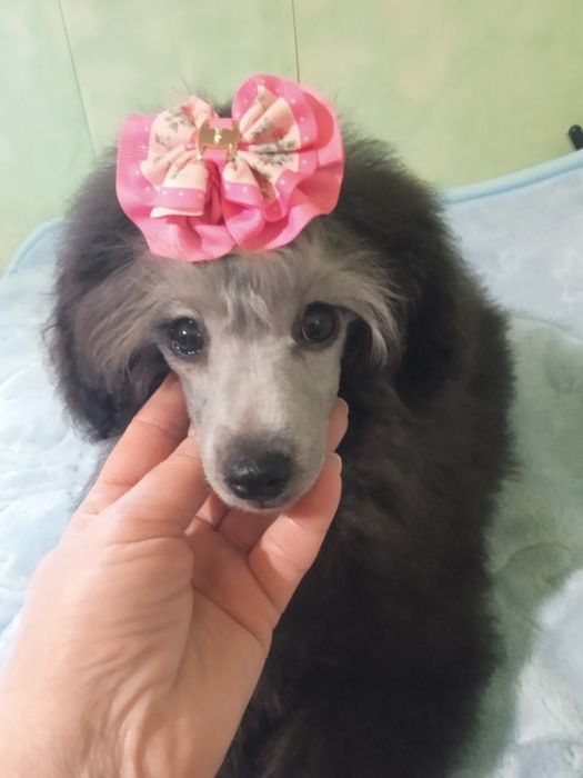 Девочка серебро миниатюра