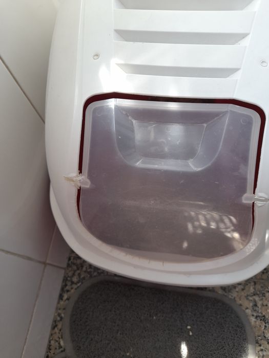 WC para Gato branco e coral