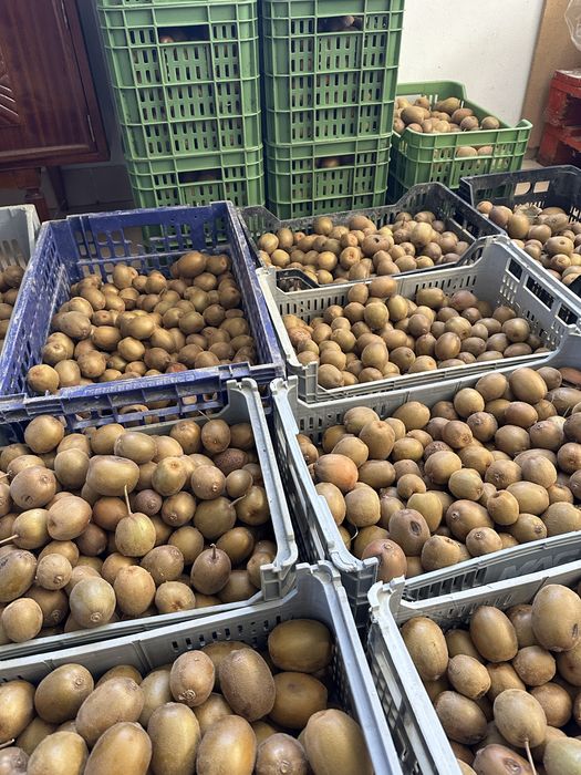 Kiwi Amarelo Biológico - 3,5€/kg