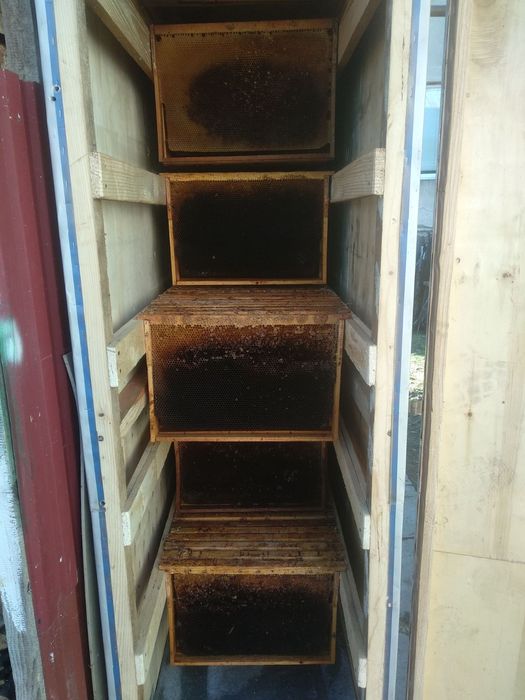 Продам бджолині рамки.