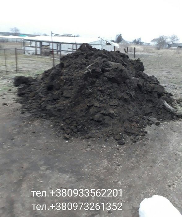 Перегной (коров'ячий) та інше