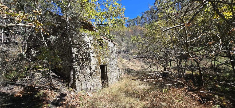 Quinta com Ruínas e Água de Mina – Projeto Off-Grid Total