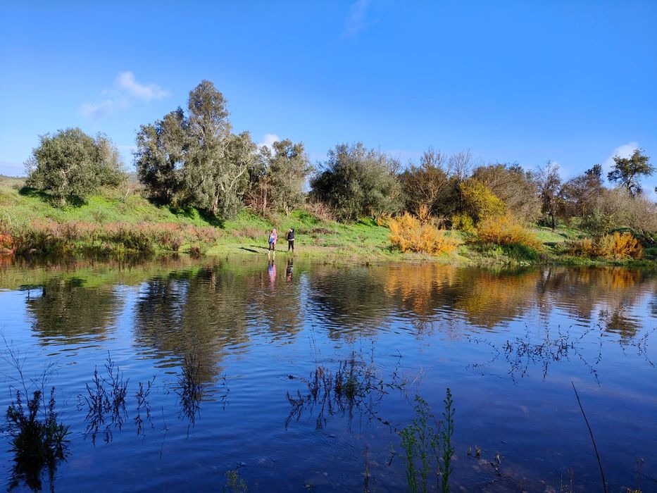 Quinta ao lado do rio para venda