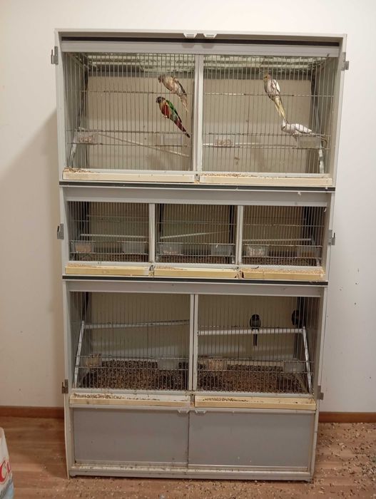 Bateria para passaros