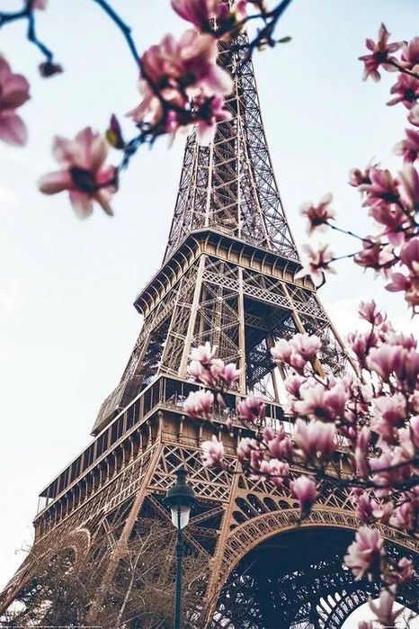 Pôster Paris Torre Eiffel 61x91,5 cm - Novo, Decorativo e Elegante