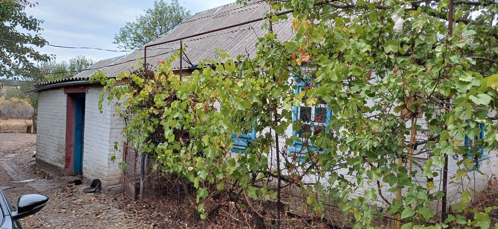 Продам будинок в с.м.т. Петрове