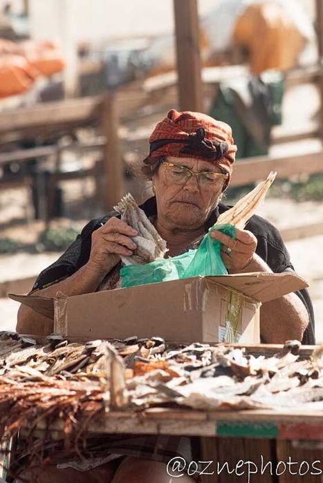 Fotógrafo Iniciante - A construir portfólio.