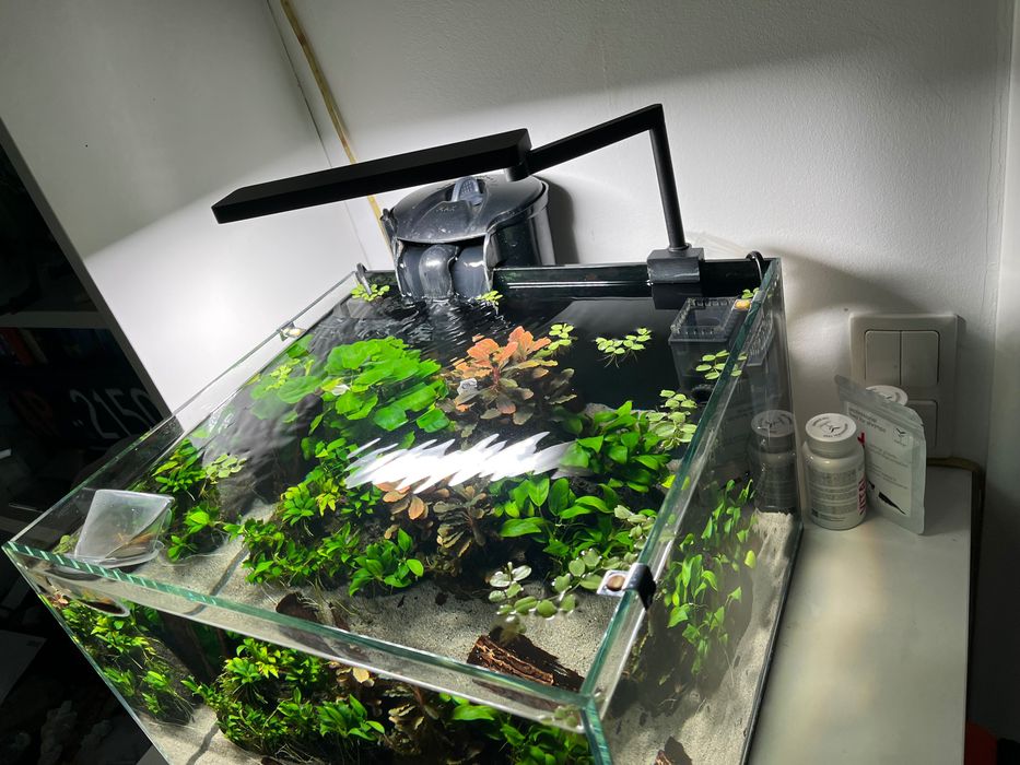 Zestaw akwarium 38l dużo dodatków