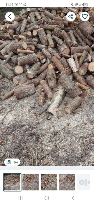 Drewno opałowe sosna