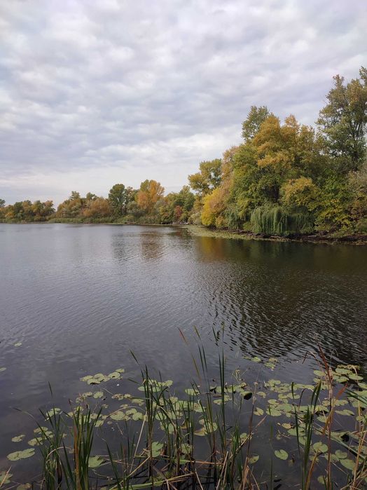 Будиночок на березі річки Дніпро у центрі міста