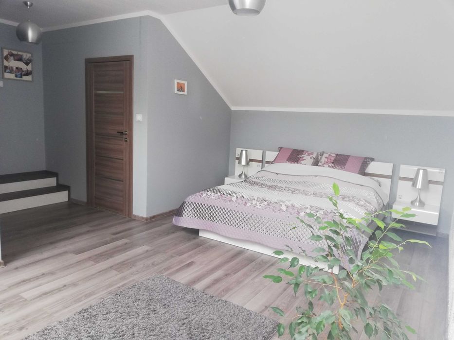 Zdjęcie 5