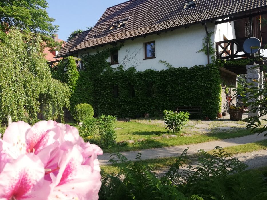 Karkonosze  Ferie góry agroturystyka pokoje wakacje