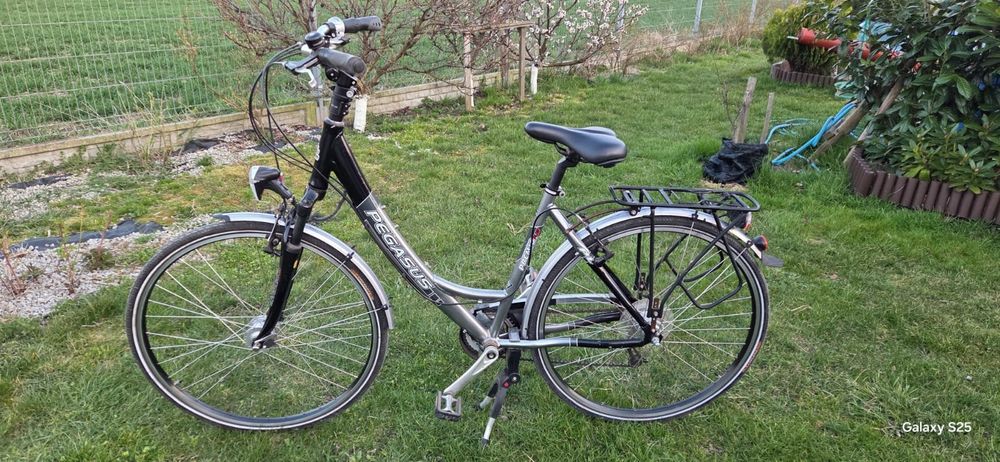 Rower miejski Pegasus