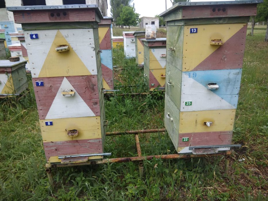 Продам вулики 10 рамок дадан