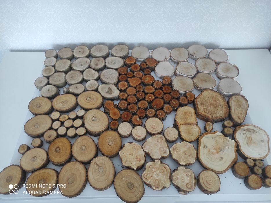 Зрізи дерева для творчості