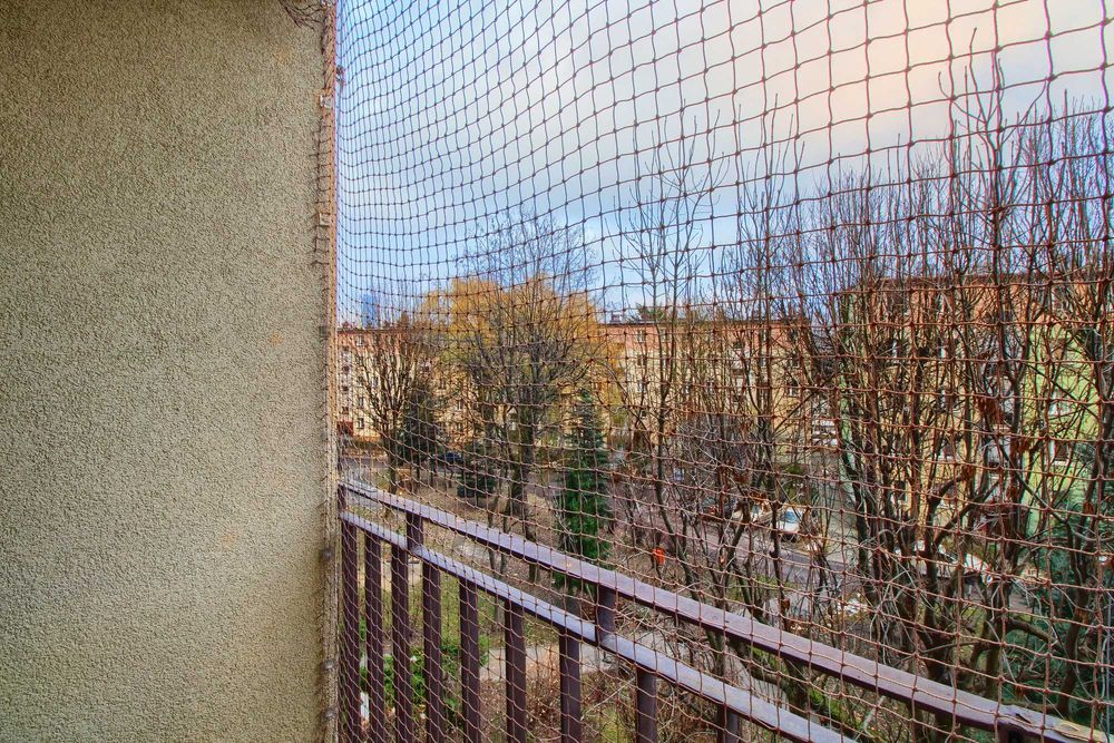 2 osobne pokoje 39 m2 CENTRUM | ul. Dąbrowskiego