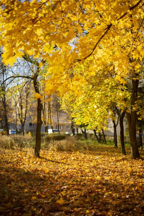 Продам об'єктив Nikon 50 mm 1.4 G