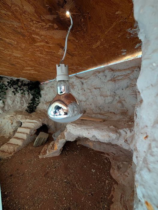 Duże terrarium dla gada