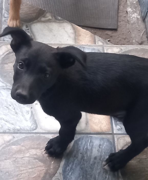 Бой шукає родину