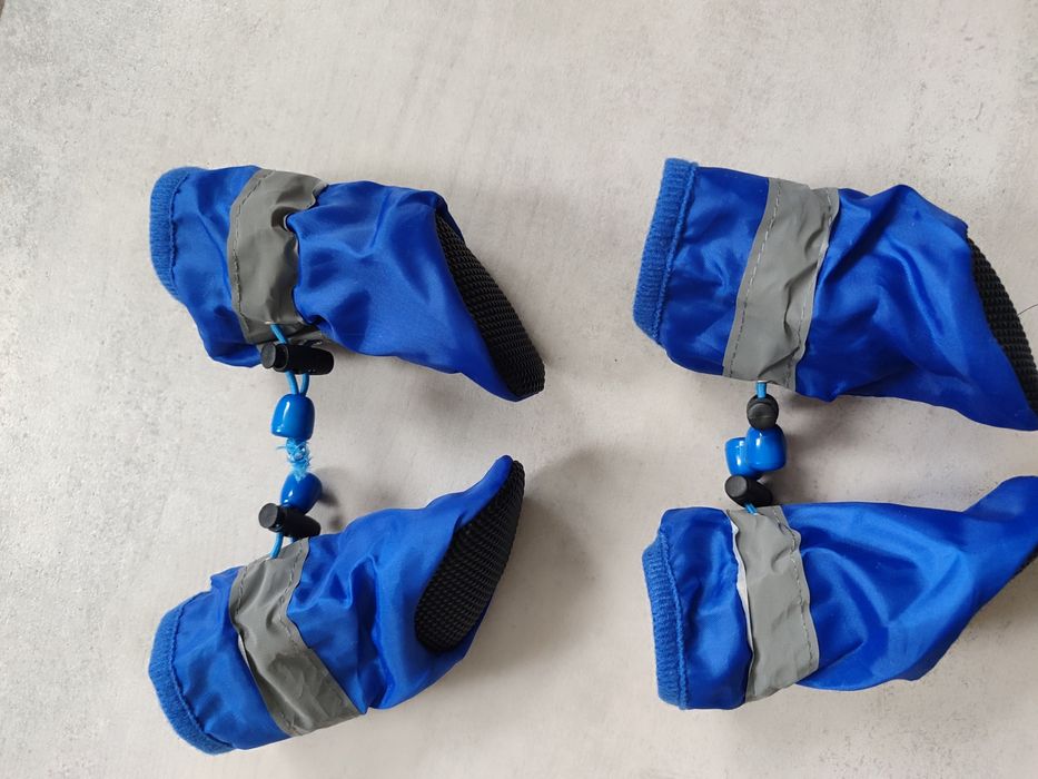 Одяг для собаки. Курточка, черевички