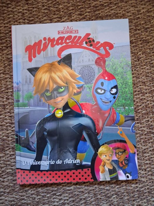Livro Miraculous ladybug