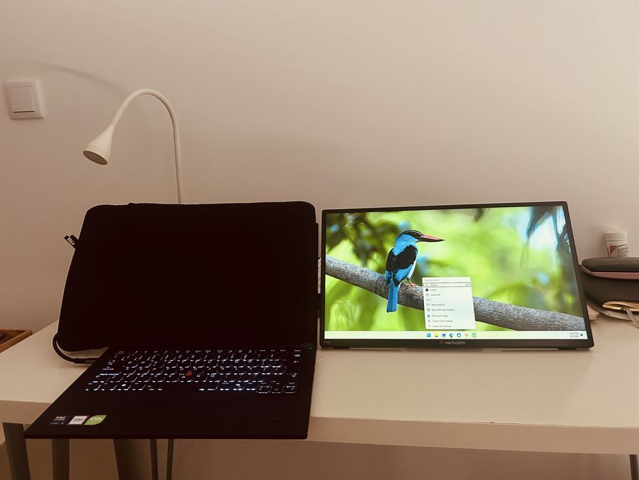 Monitor Portatil & Touch Verbatim 17.3 FHD