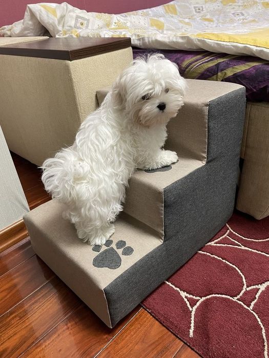 Сходинка для песиків. Колір бежевий з кісточкою. 30*40 см