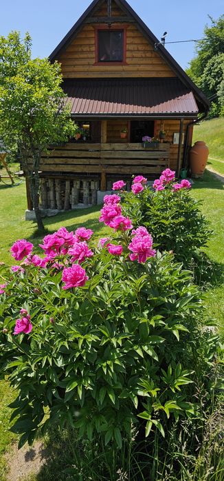 Domek w górach z tarasem widokowym.  Beskid Żywiecki.  Rajcza