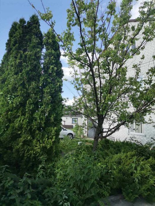 БОЛЬШОЙ дом для Бизнеса и жизни 350м2 Змиев