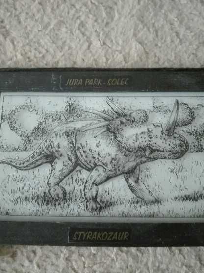 Dinozaur Styrakozaur obrazek na szkle