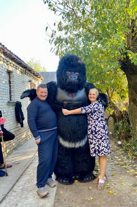 Білий ведмідь День народження, панда, привітання, ростові ляльки, Стіч