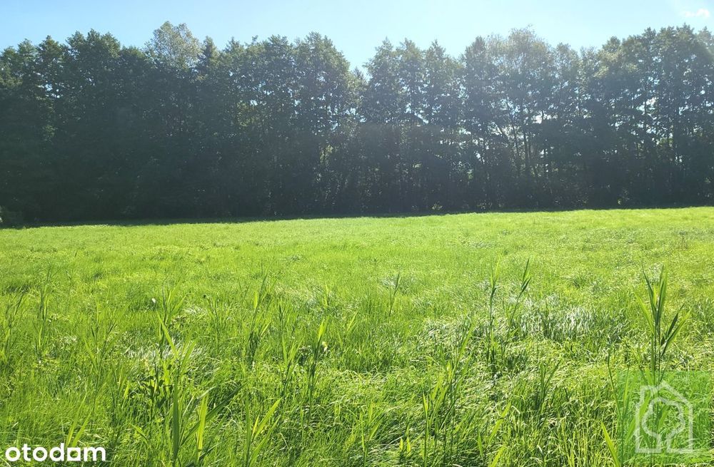 Działka, Stary Toruń