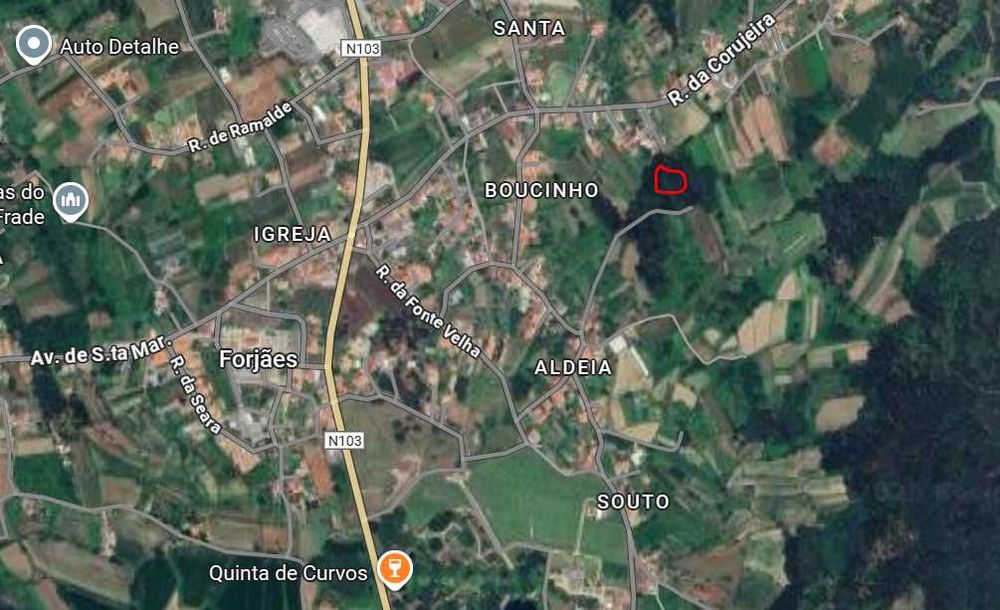 Terreno Forjães 460m² – Ideal para Mini Quinta ou Pomar