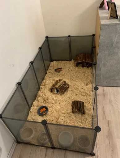 kojec dla królika chomika NOWA klatka pojemna z podłogą wysoki